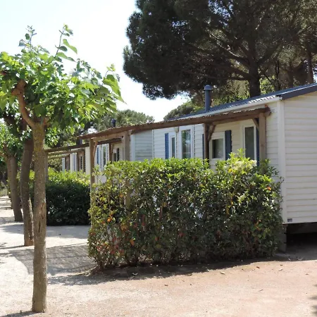 El Carlitos * Arenys de Mar