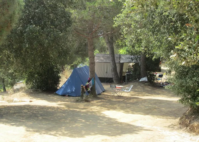 Camping El Carlitos *