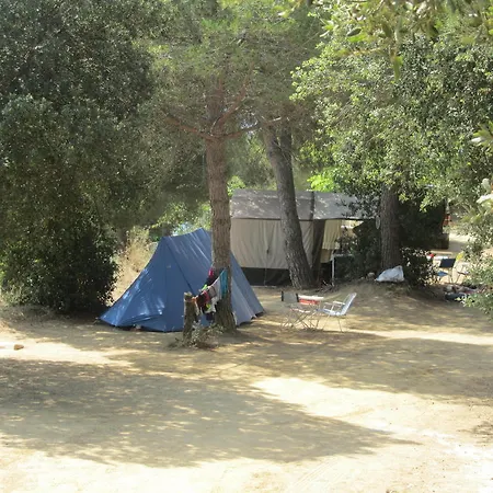 Campsite El Carlitos *